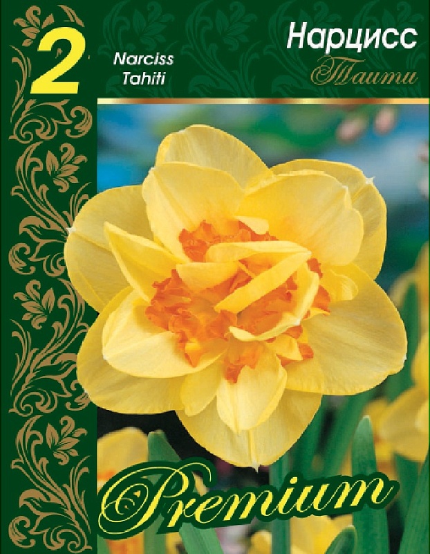 Нарцисс Таити 1 уп.(2 шт.)